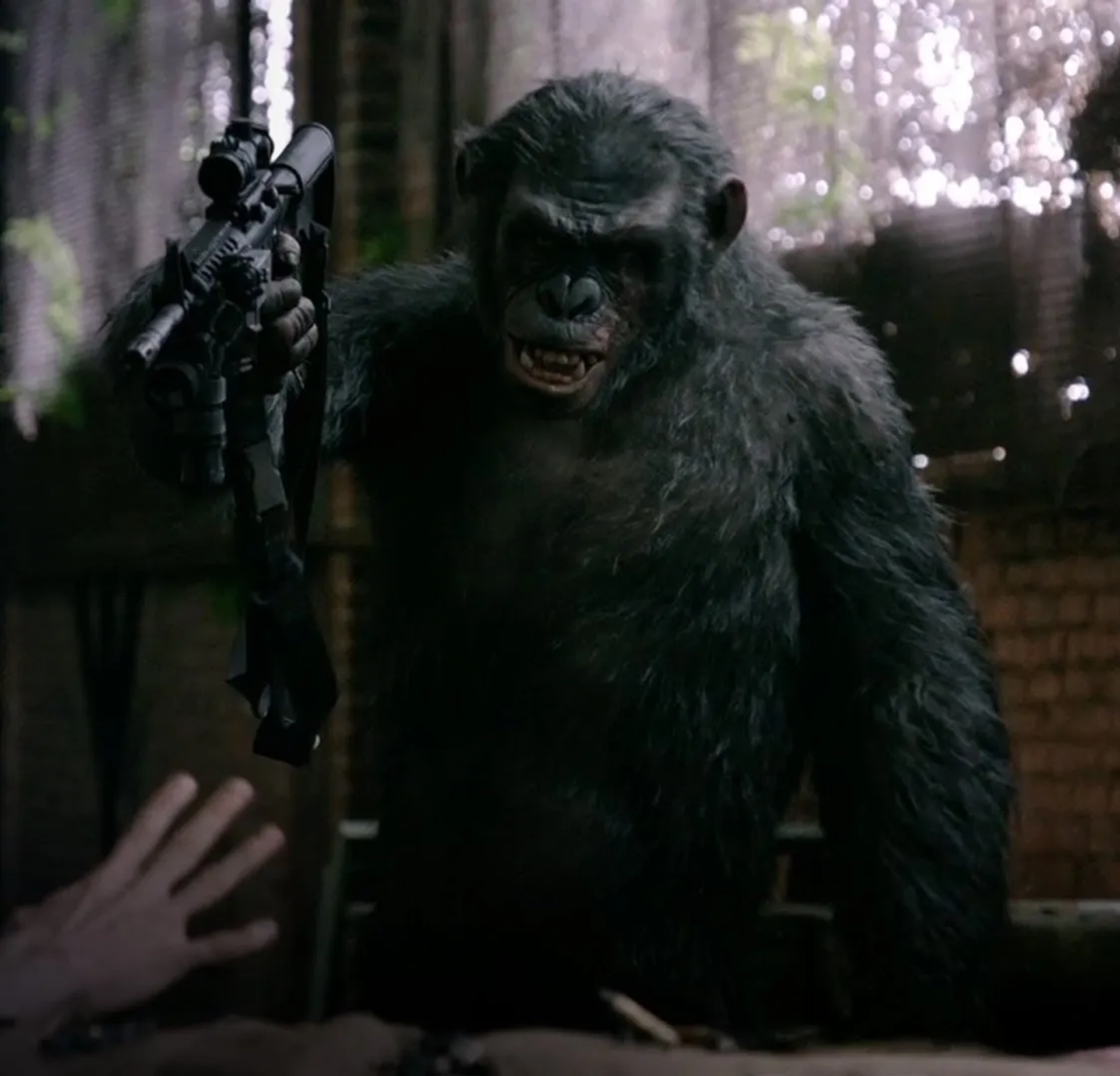 Toby Kebbell in Dawn of the Planet of the Apes (2014)