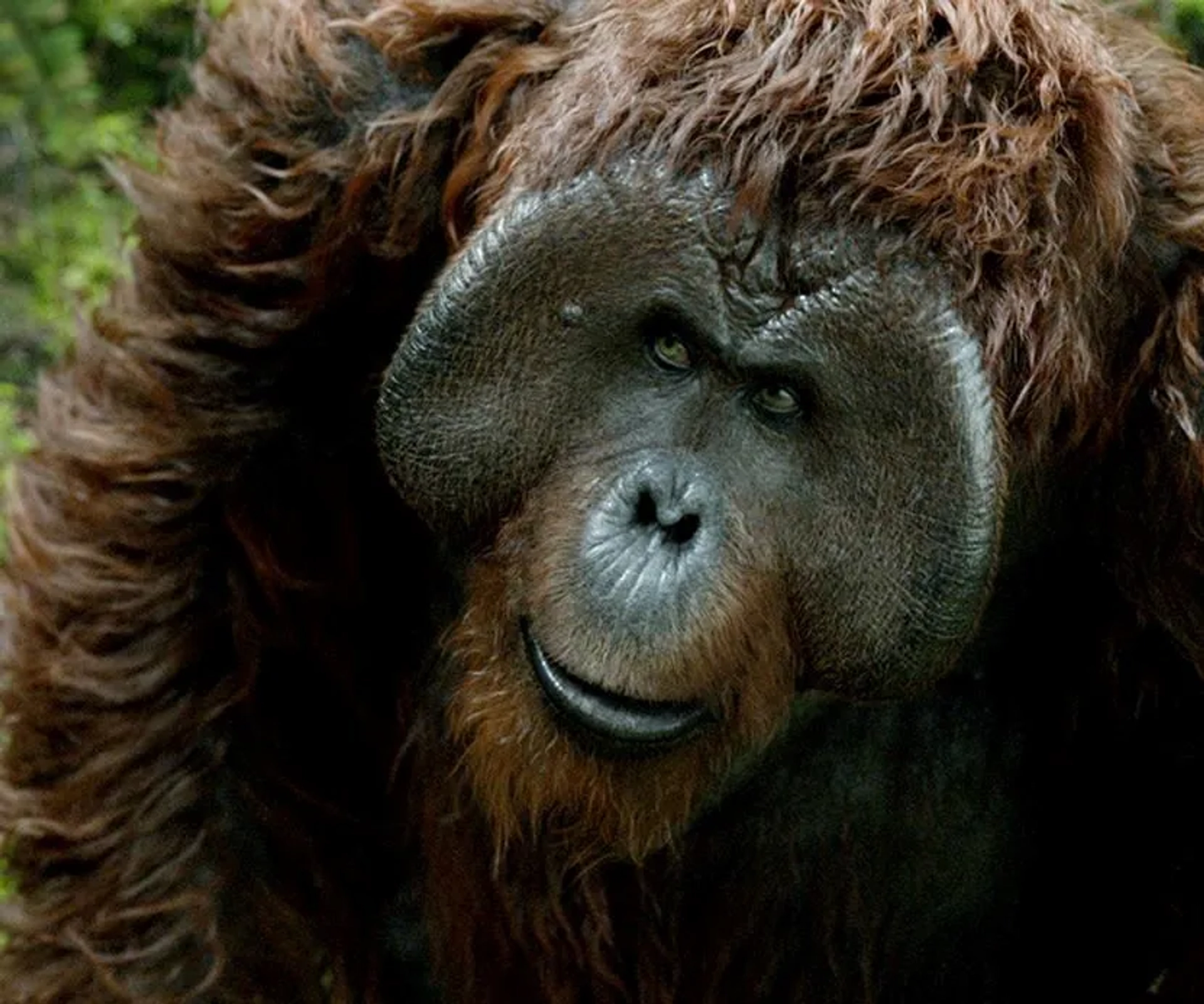 Karin Konoval in Dawn of the Planet of the Apes (2014)