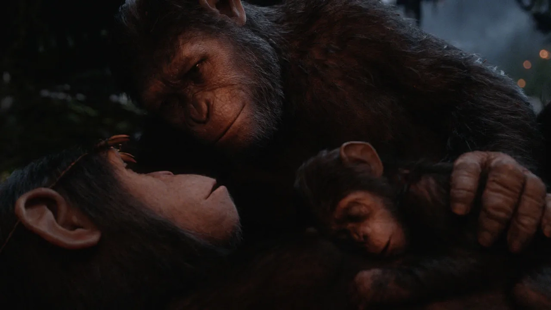 Judy Greer and Andy Serkis in Dawn of the Planet of the Apes (2014)