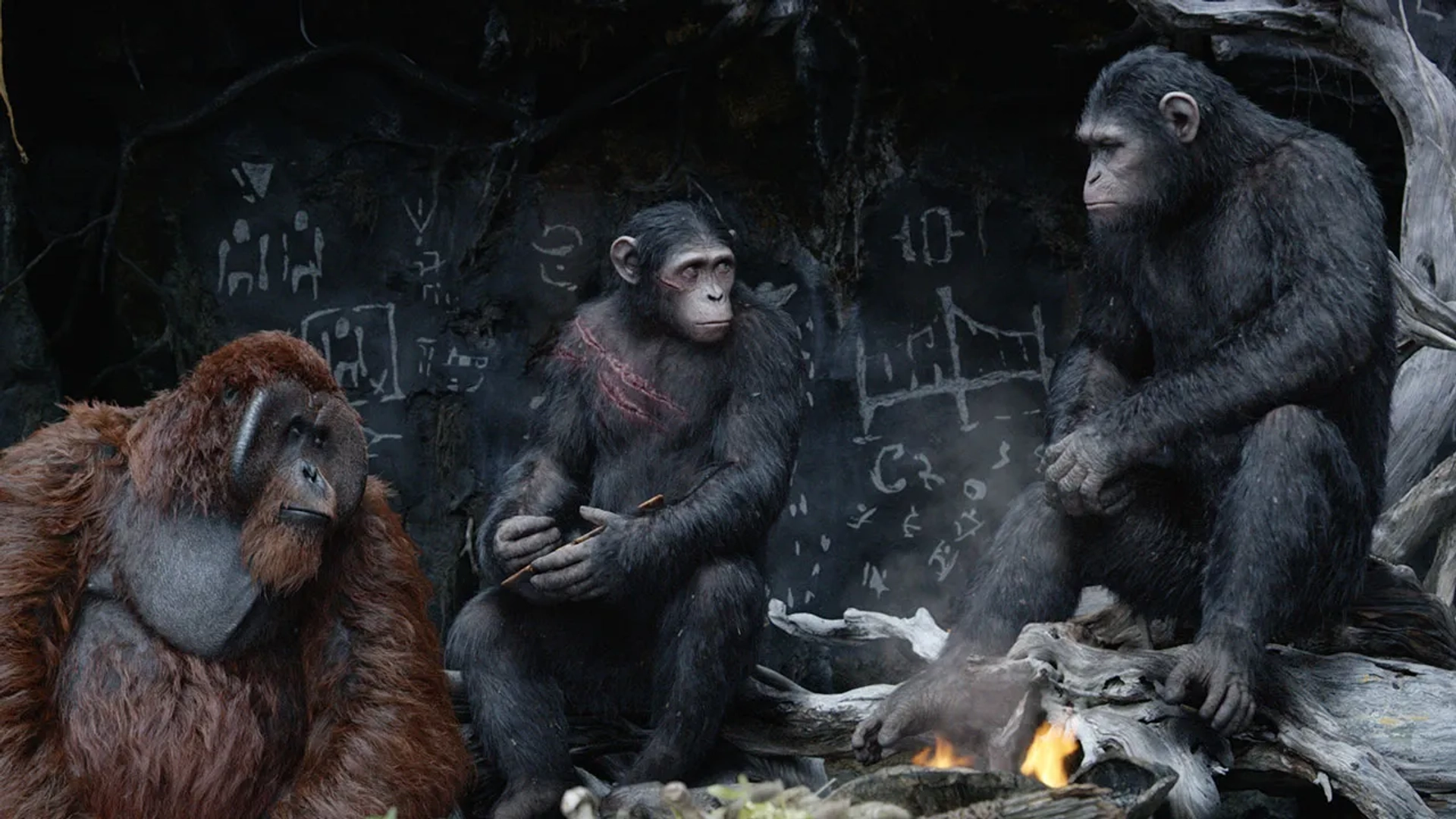 Karin Konoval, Andy Serkis, and Nick Thurston in Dawn of the Planet of the Apes (2014)