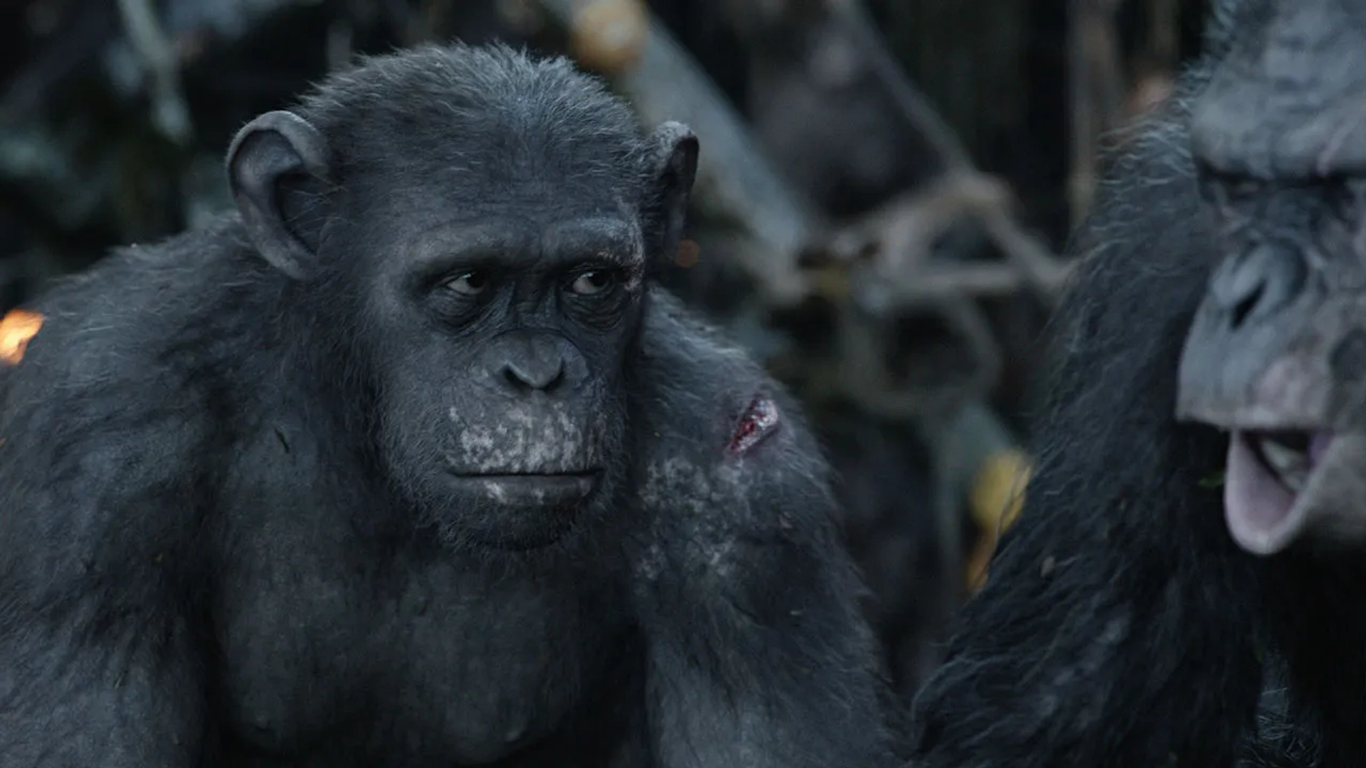 Toby Kebbell and Larramie Doc Shaw in Dawn of the Planet of the Apes (2014)