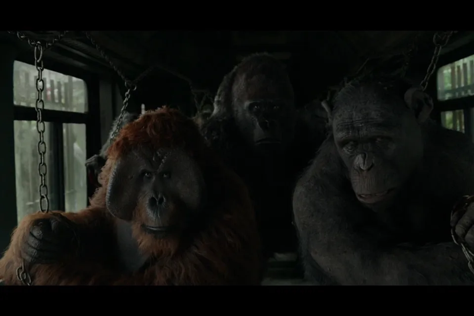 Karin Konoval, Terry Notary, and Scott Lang in Dawn of the Planet of the Apes (2014)