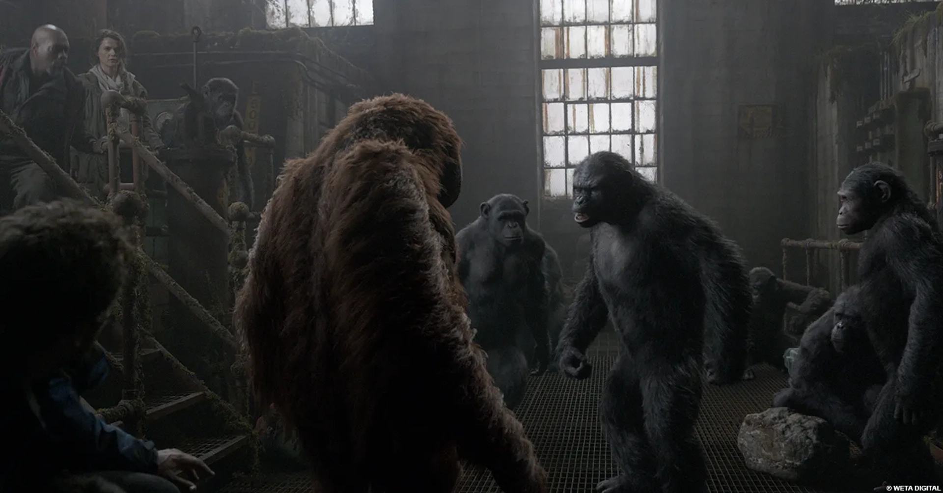 Keri Russell, Jason Clarke, Karin Konoval, Terry Notary, Jon Eyez, Toby Kebbell, and Nick Thurston in Dawn of the Planet of the Apes (2014)