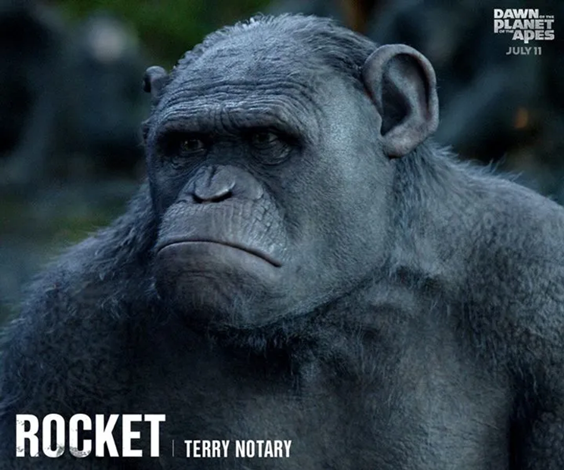 Terry Notary as 'Rocket' in 'Dawn of the Planet of the Apes'.