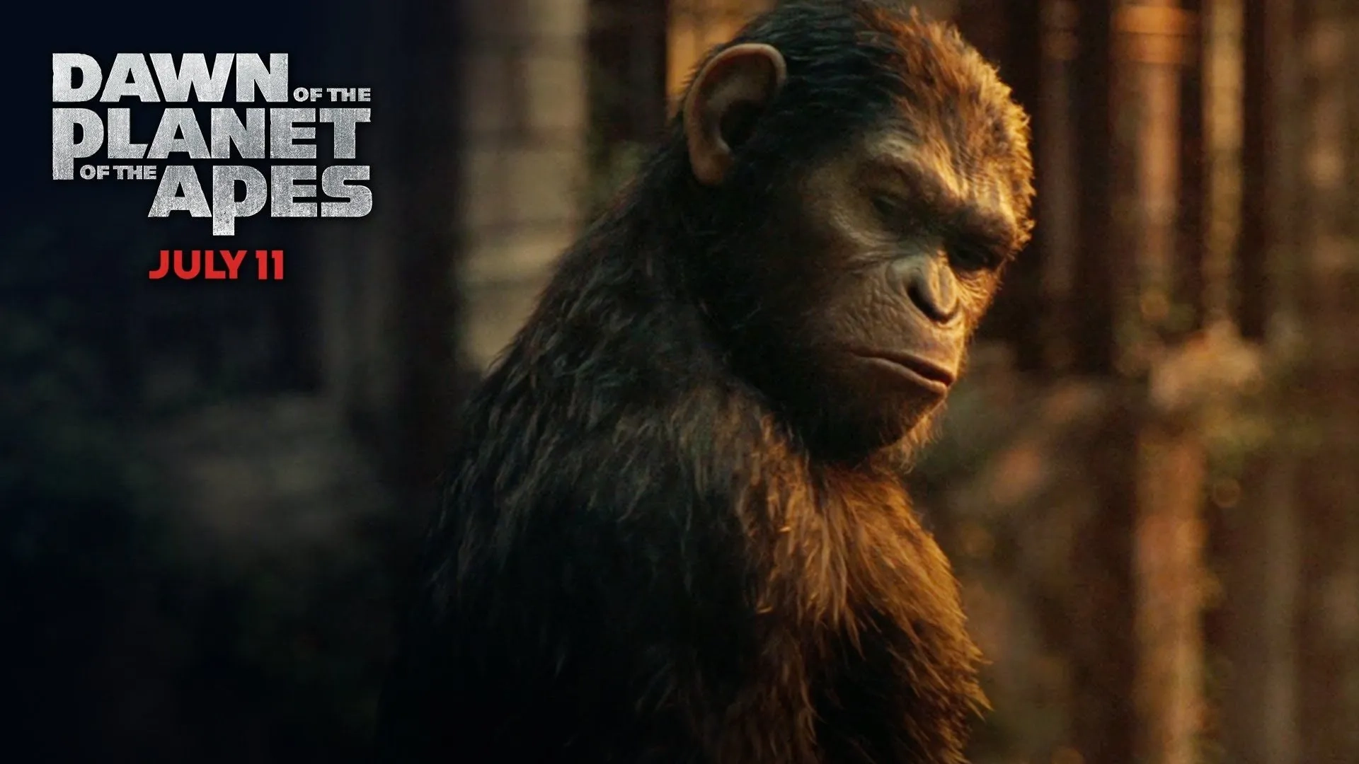 Andy Serkis in Dawn of the Planet of the Apes (2014)