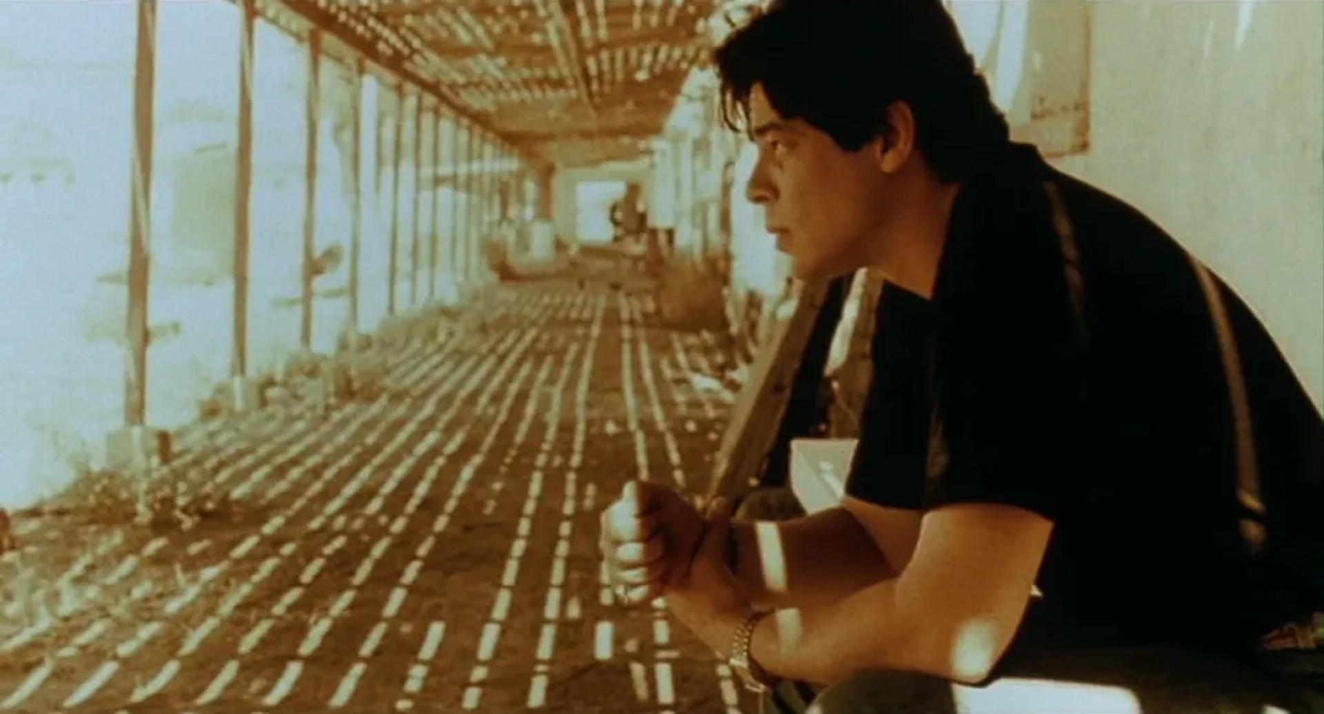 Benicio Del Toro in Traffic (2000)