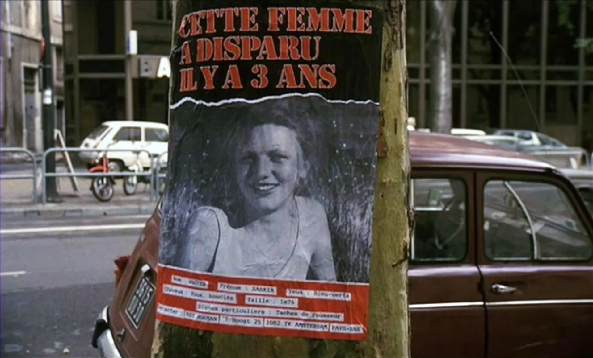 Johanna ter Steege in The Vanishing (1988)