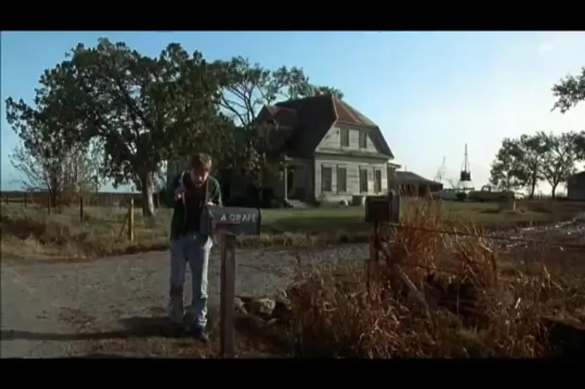 Leonardo DiCaprio in What's Eating Gilbert Grape (1993)