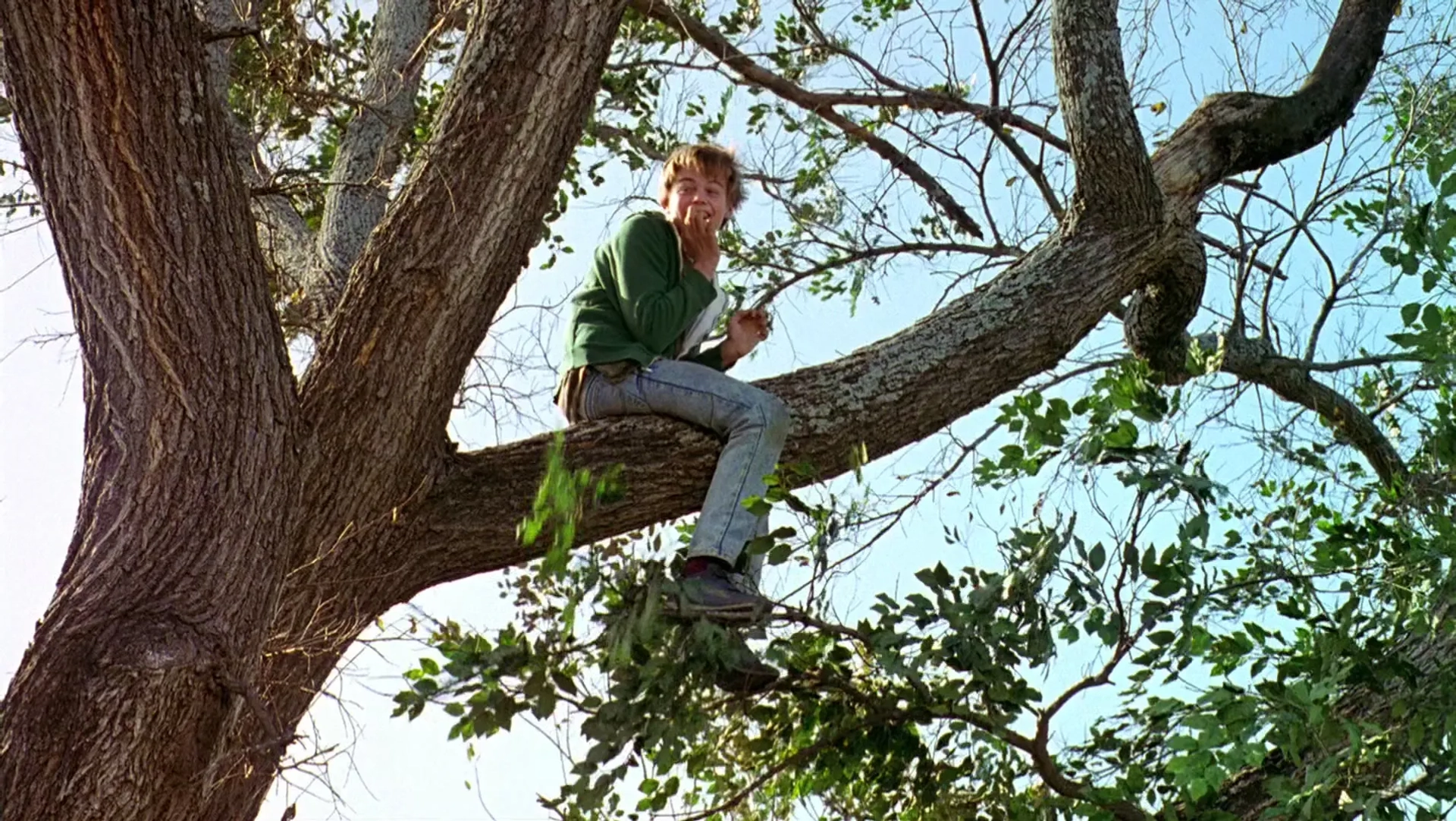 Leonardo DiCaprio in What's Eating Gilbert Grape (1993)