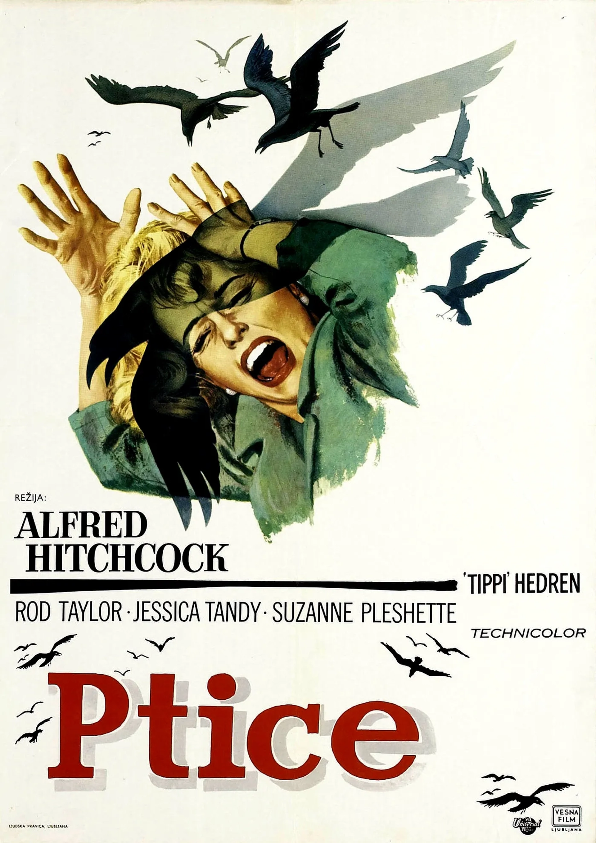 Tippi Hedren in The Birds (1963)