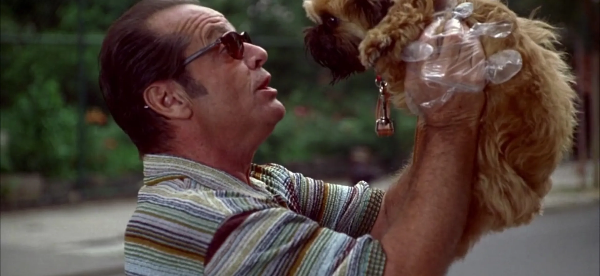 Jack Nicholson and Jill the Dog in As Good as It Gets (1997)