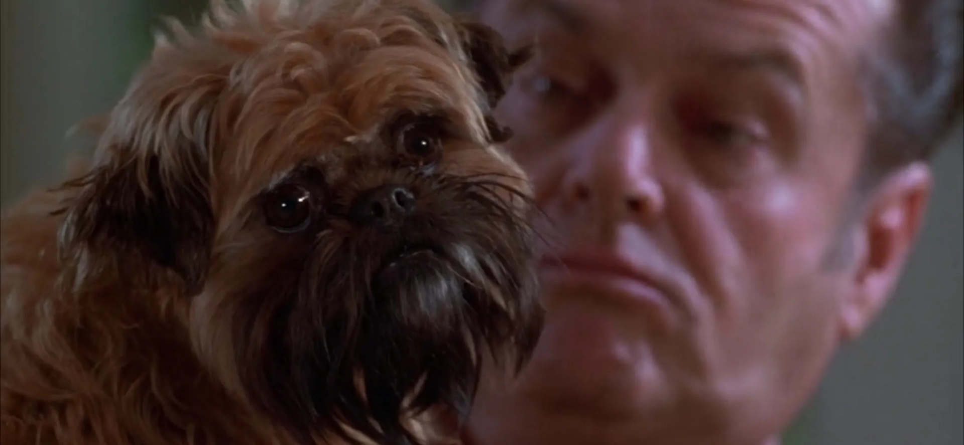 Jack Nicholson and Jill the Dog in As Good as It Gets (1997)