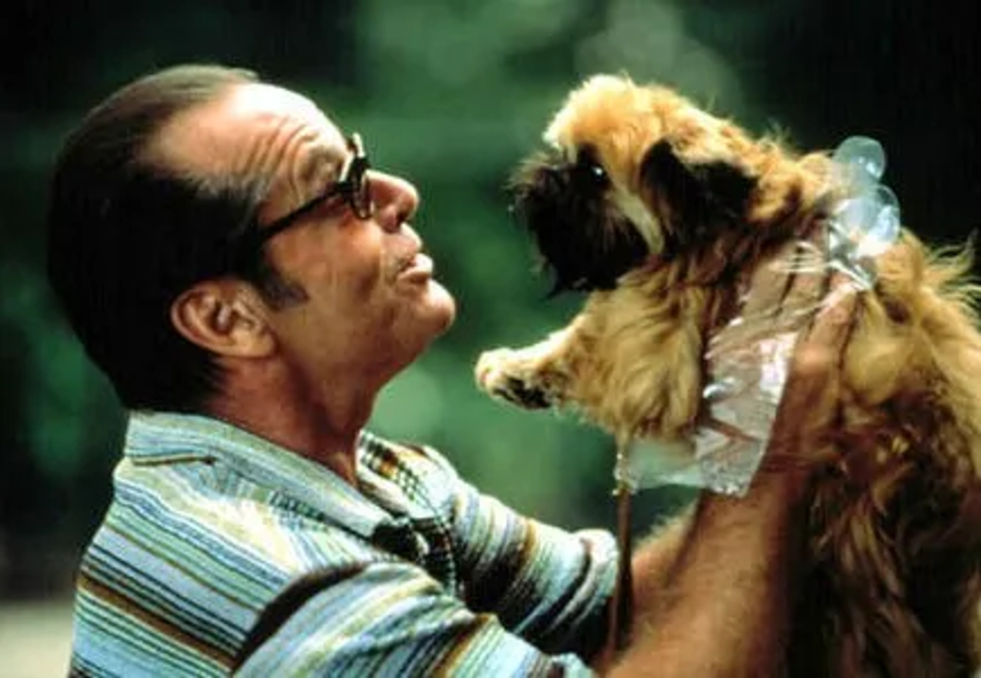 Jack Nicholson and Jill the Dog in As Good as It Gets (1997)