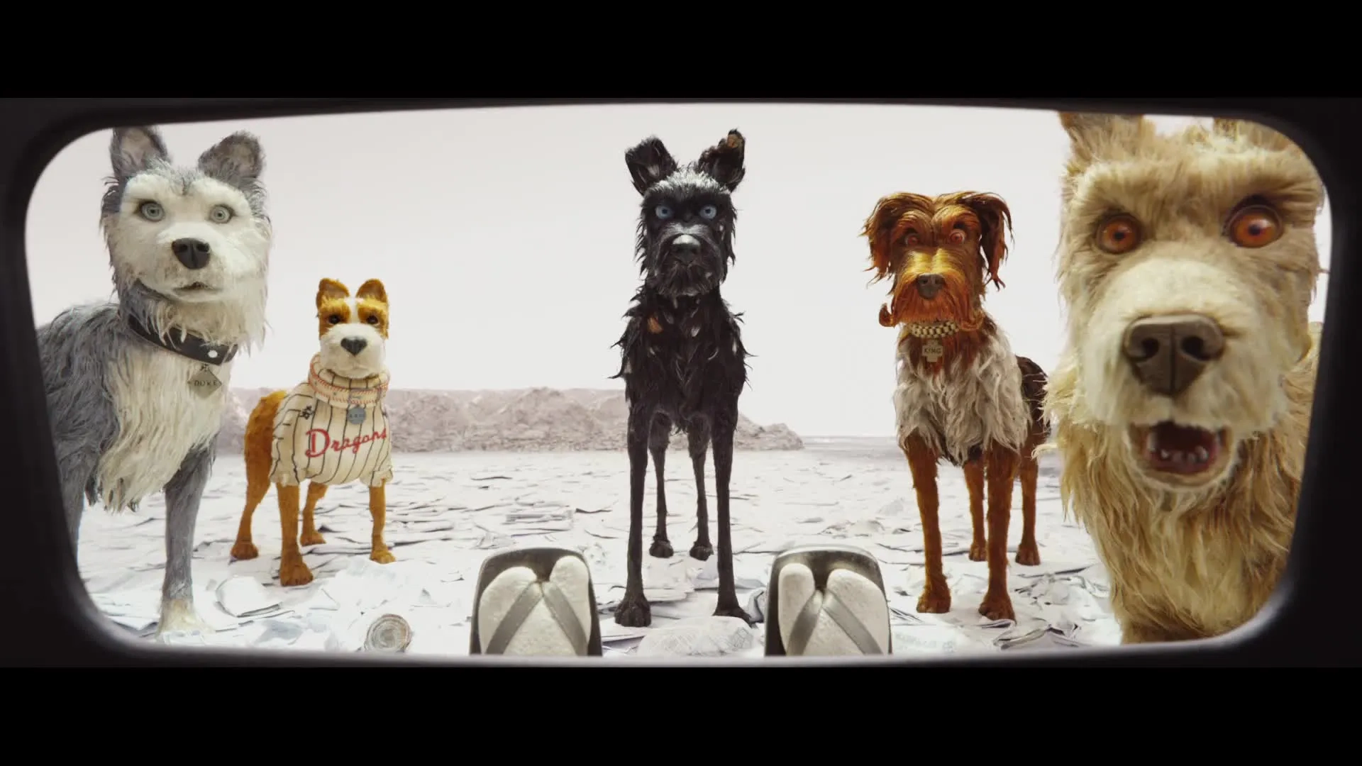 Jeff Goldblum, Bill Murray, Bob Balaban, Edward Norton, and Bryan Cranston in Isle of Dogs (2018)