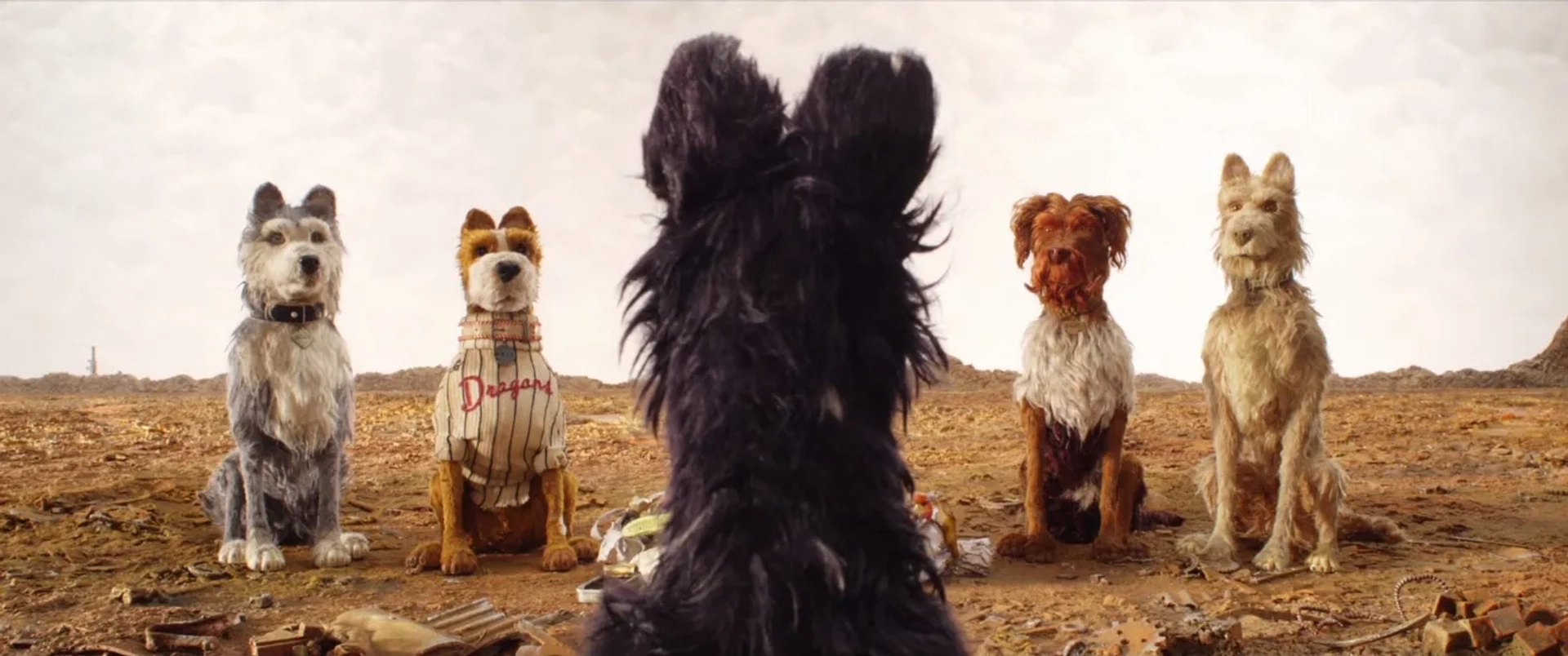 Jeff Goldblum, Bill Murray, Bob Balaban, Edward Norton, and Bryan Cranston in Isle of Dogs (2018)