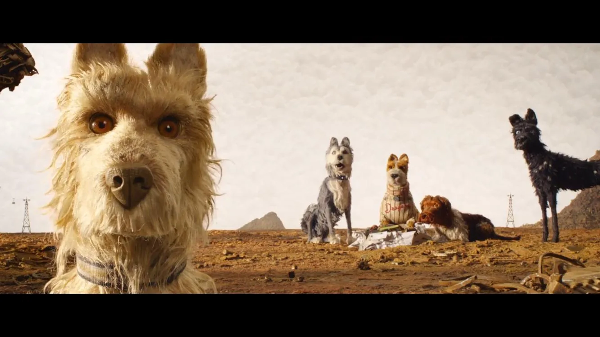 Jeff Goldblum, Bill Murray, Bob Balaban, Edward Norton, and Bryan Cranston in Isle of Dogs (2018)