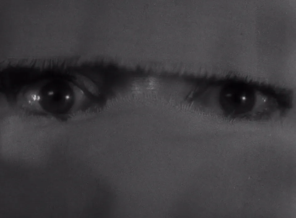 Elsa Lanchester in Bride of Frankenstein (1935)