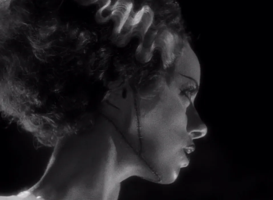 Elsa Lanchester in Bride of Frankenstein (1935)