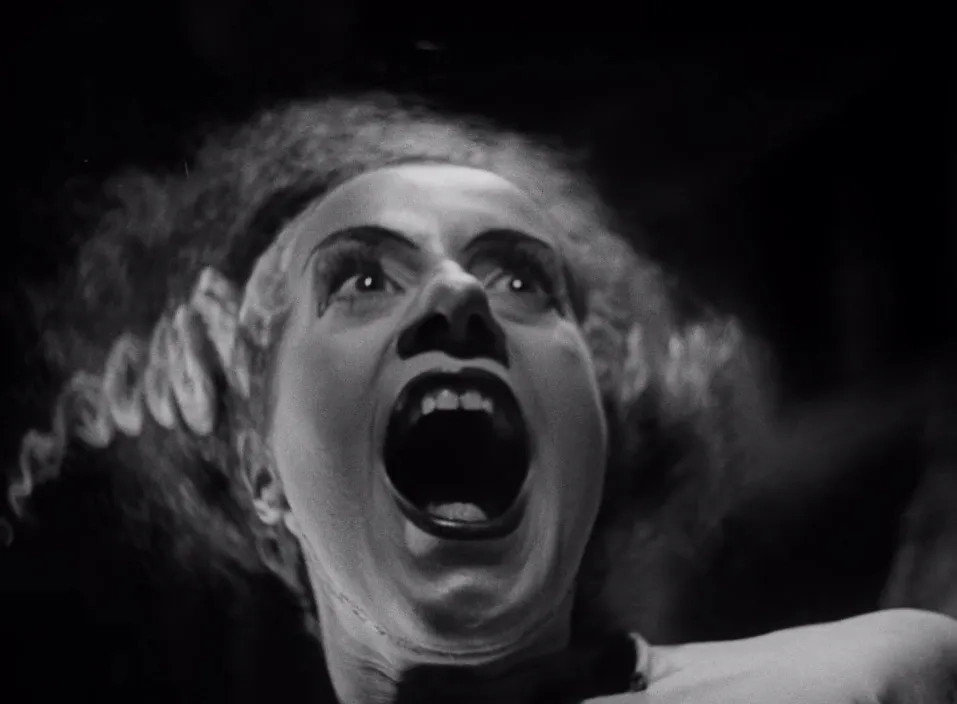 Elsa Lanchester in Bride of Frankenstein (1935)