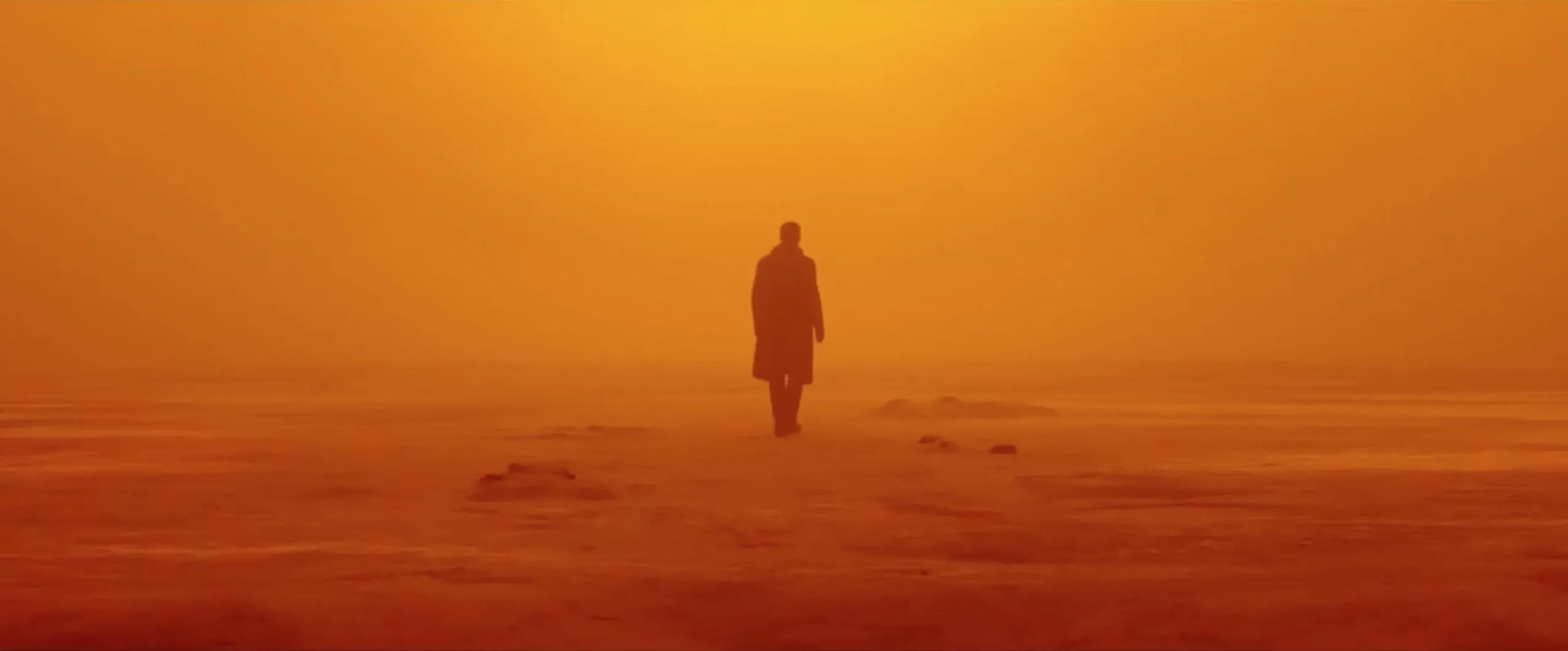 Ryan Gosling in Blade Runner 2049 (2017)