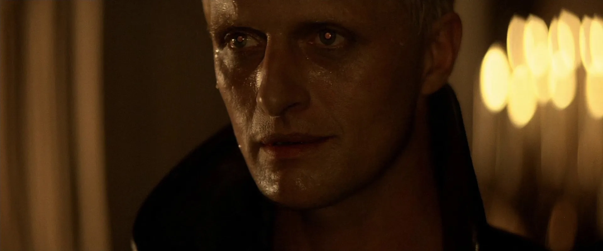 Rutger Hauer in Blade Runner (1982)