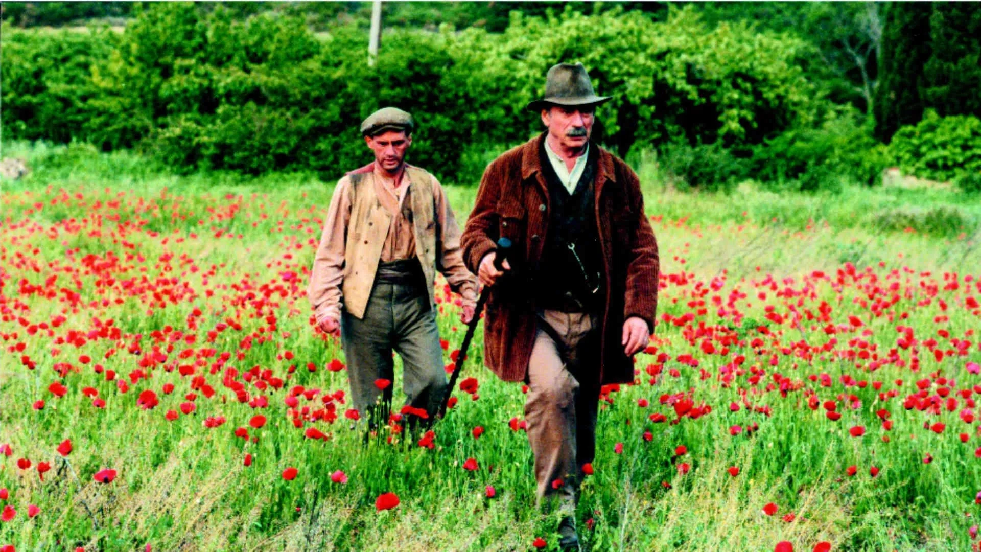 Daniel Auteuil and Yves Montand in Jean de Florette (1986)