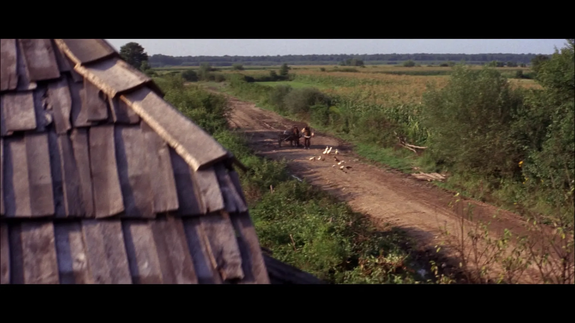 Topol in Fiddler on the Roof (1971)