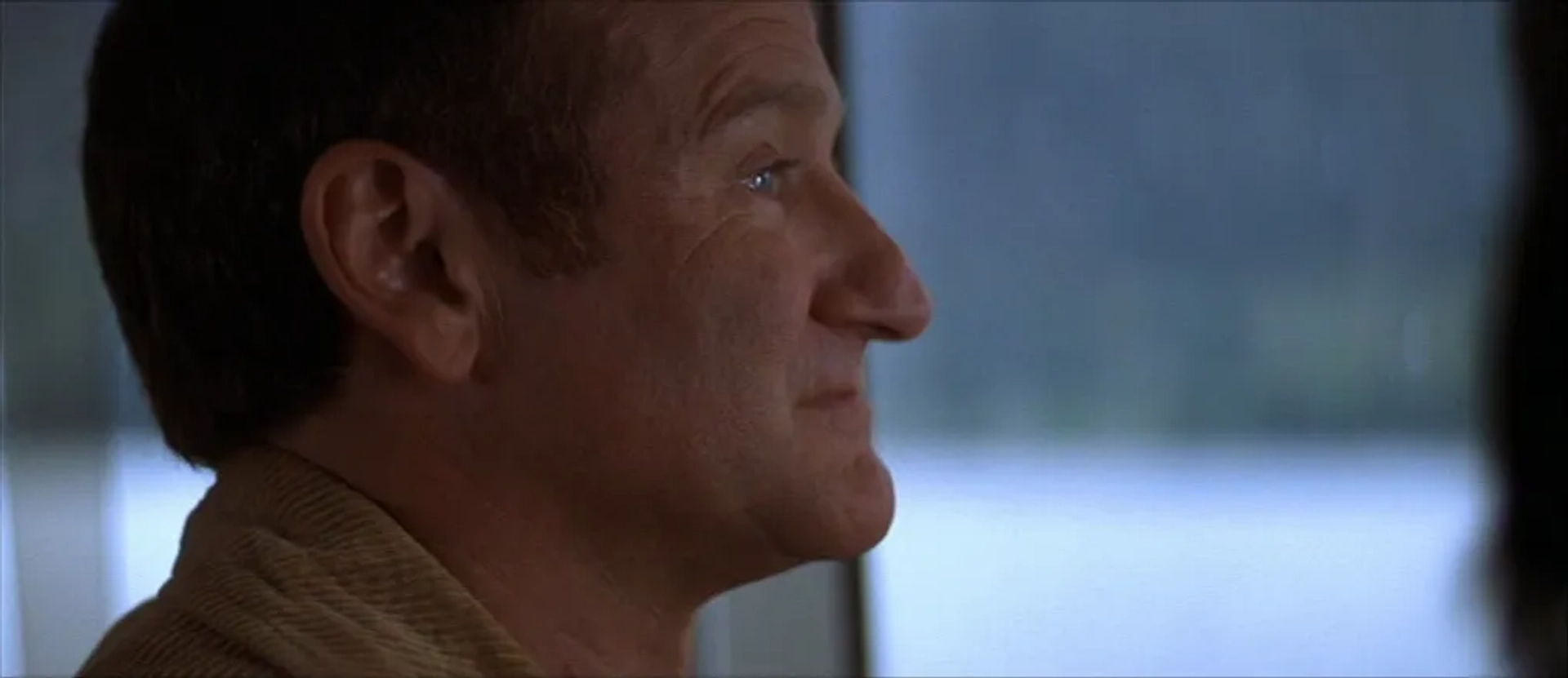 Robin Williams in Insomnia (2002)