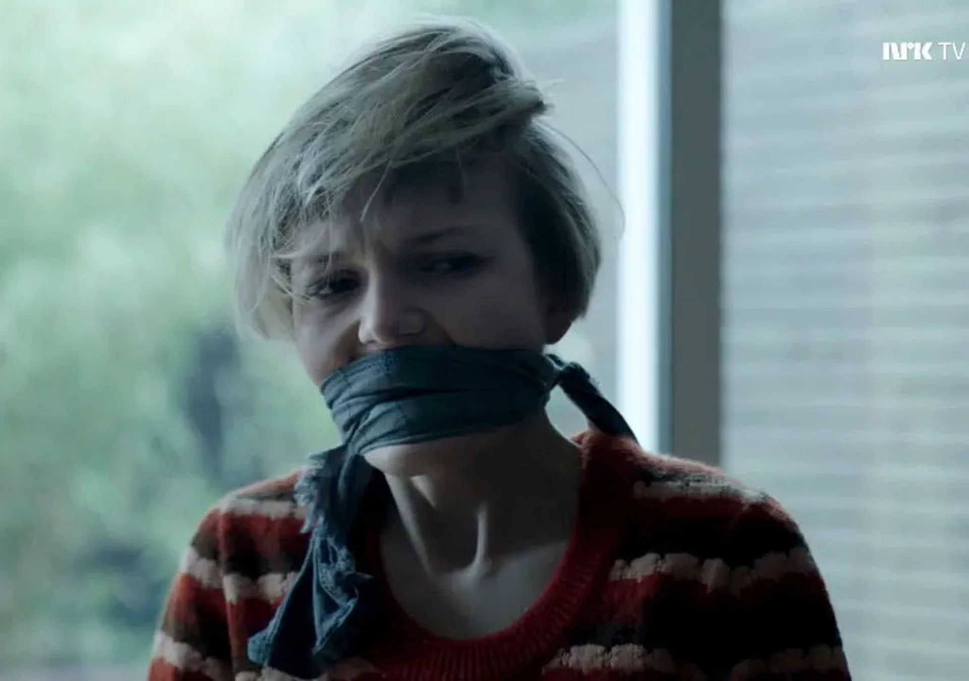 Selma Modéer Wiking in The Bridge (2011)