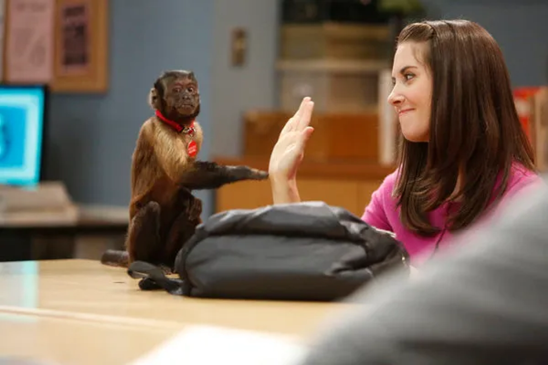 Alison Brie and Crystal the Monkey in Community (2009)