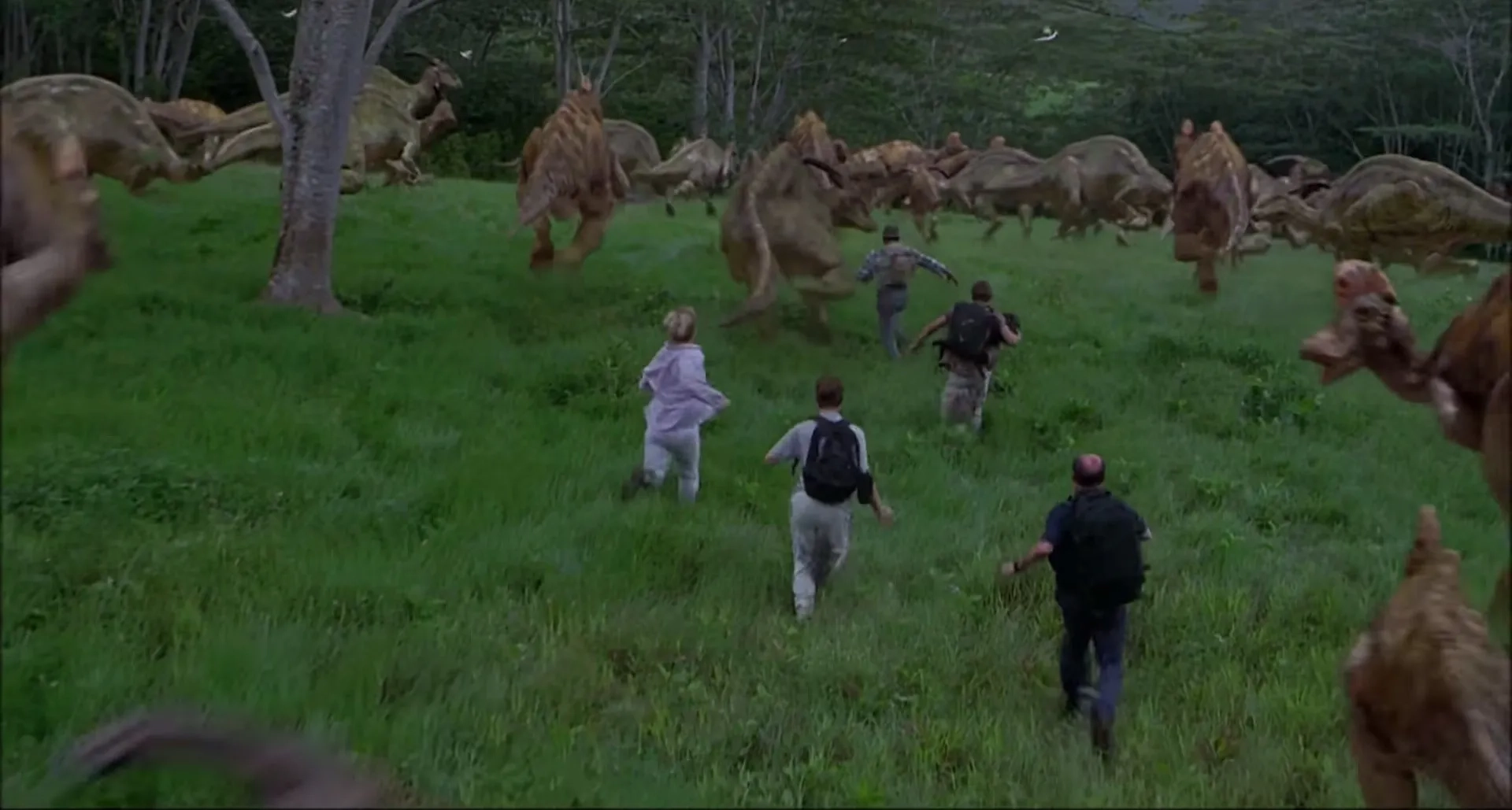 Téa Leoni, William H. Macy, Sam Neill, Michael Jeter, and Alessandro Nivola in Jurassic Park III (2001)