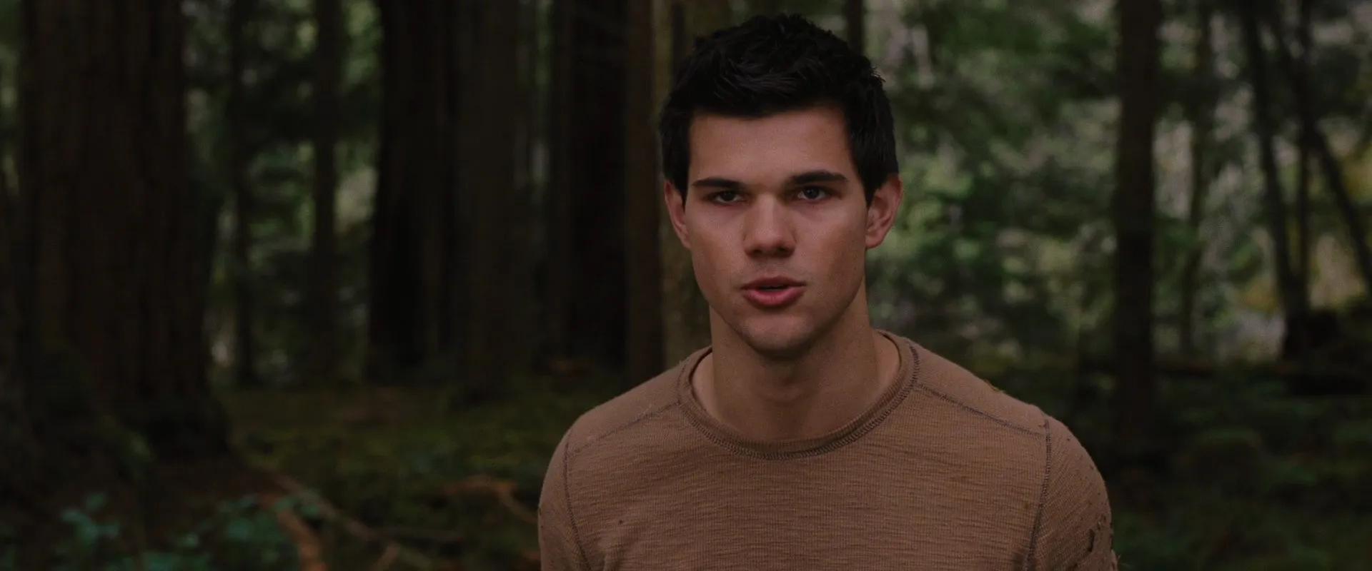 Taylor Lautner in The Twilight Saga: Breaking Dawn - Part 2 (2012)