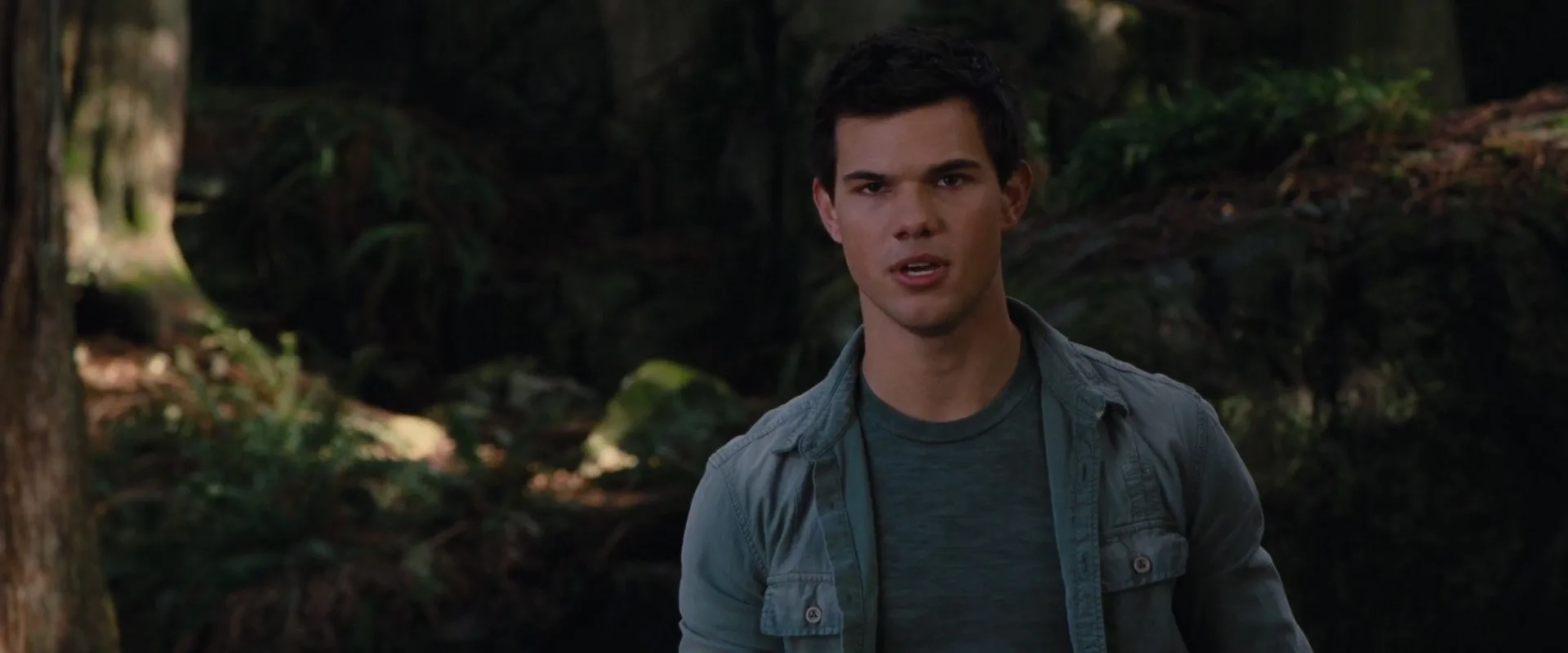 Taylor Lautner in The Twilight Saga: Breaking Dawn - Part 2 (2012)