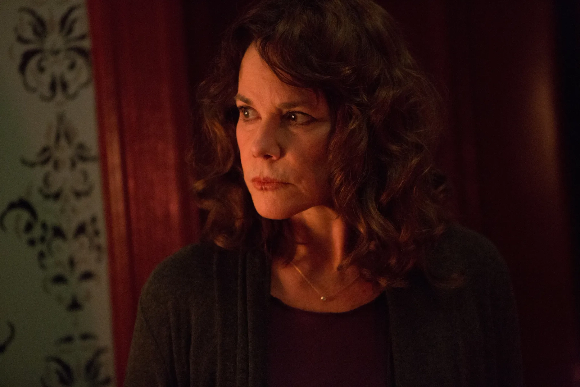 Barbara Hershey in Insidious: Chapter 2 (2013)