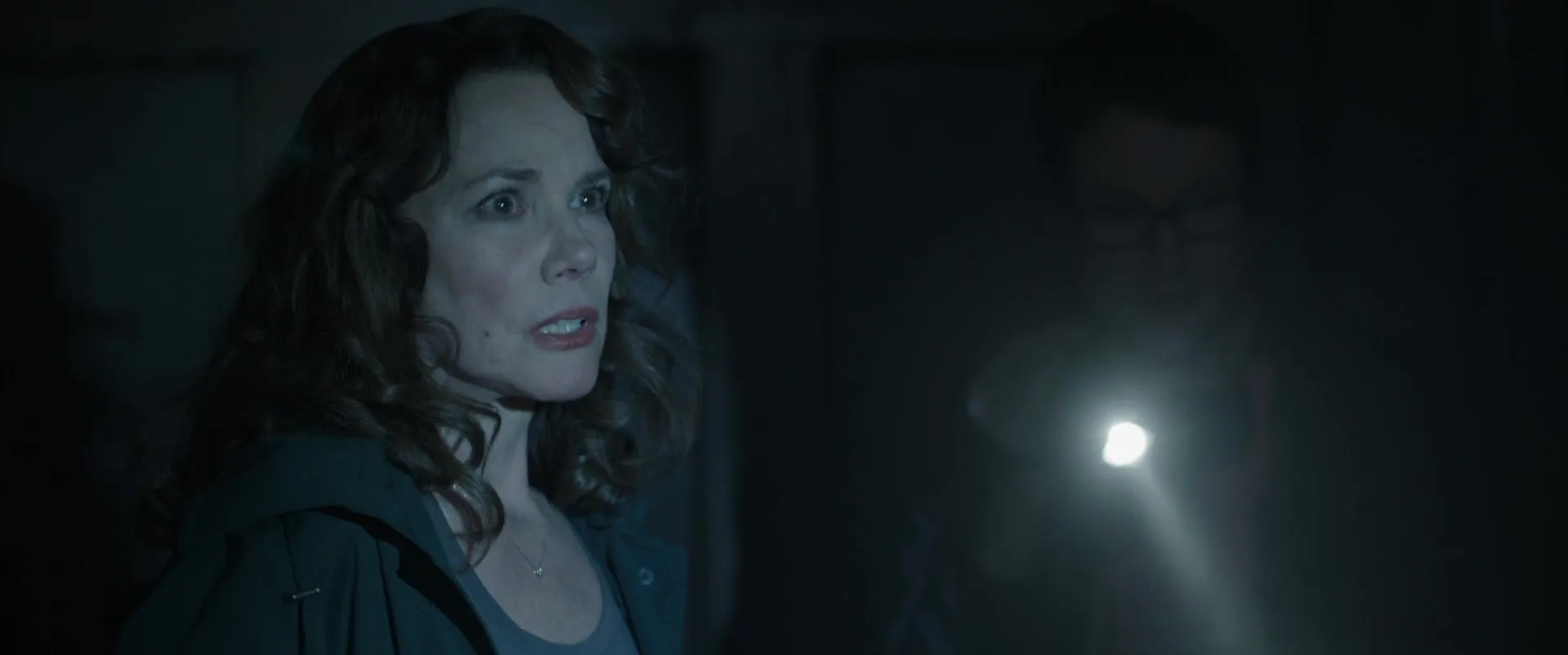 Barbara Hershey and Leigh Whannell in Insidious: Chapter 2 (2013)