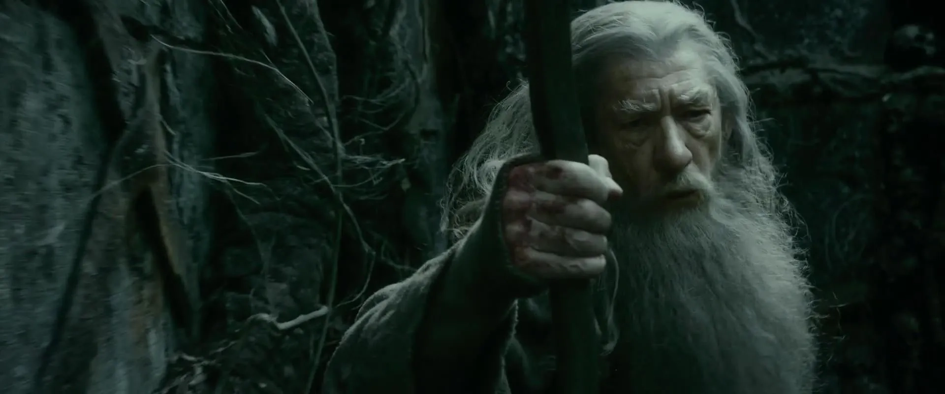 Ian McKellen in The Hobbit: The Desolation of Smaug (2013)