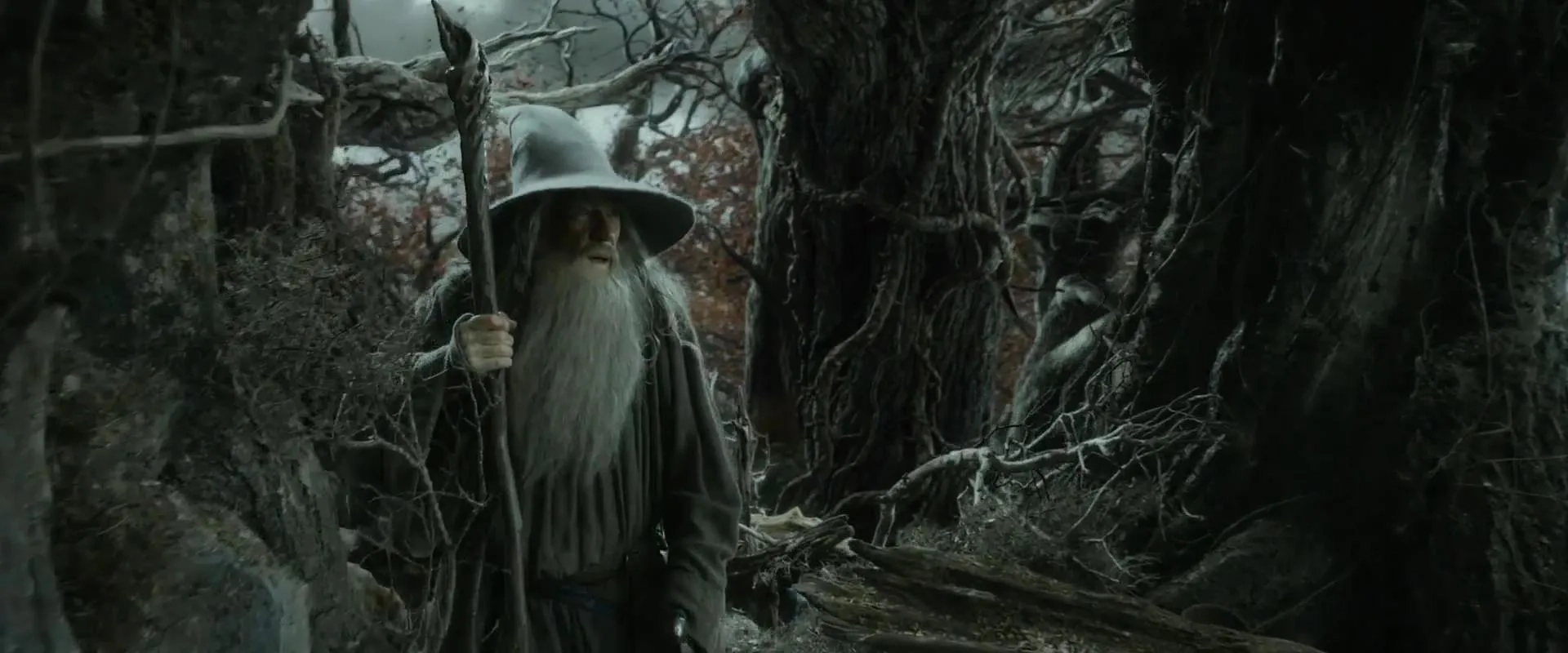 Ian McKellen in The Hobbit: The Desolation of Smaug (2013)