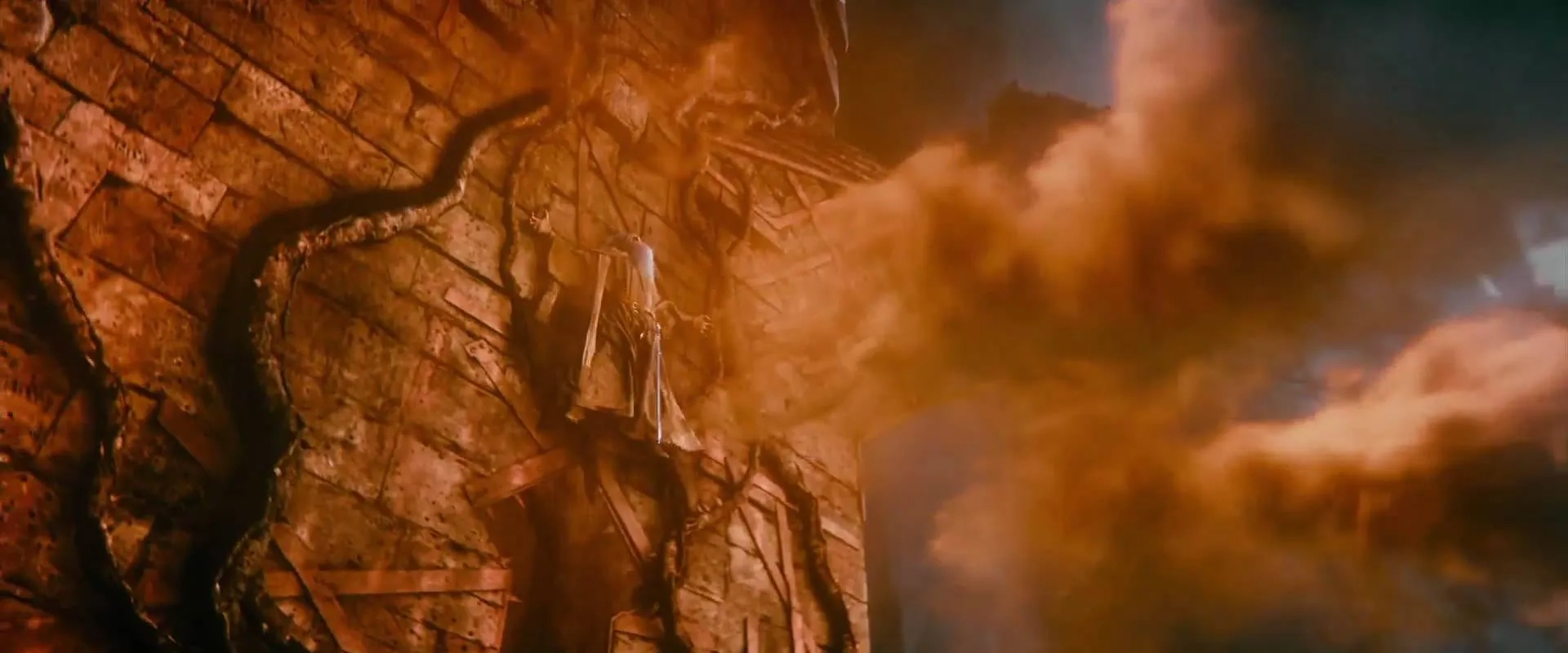 Ian McKellen in The Hobbit: The Desolation of Smaug (2013)