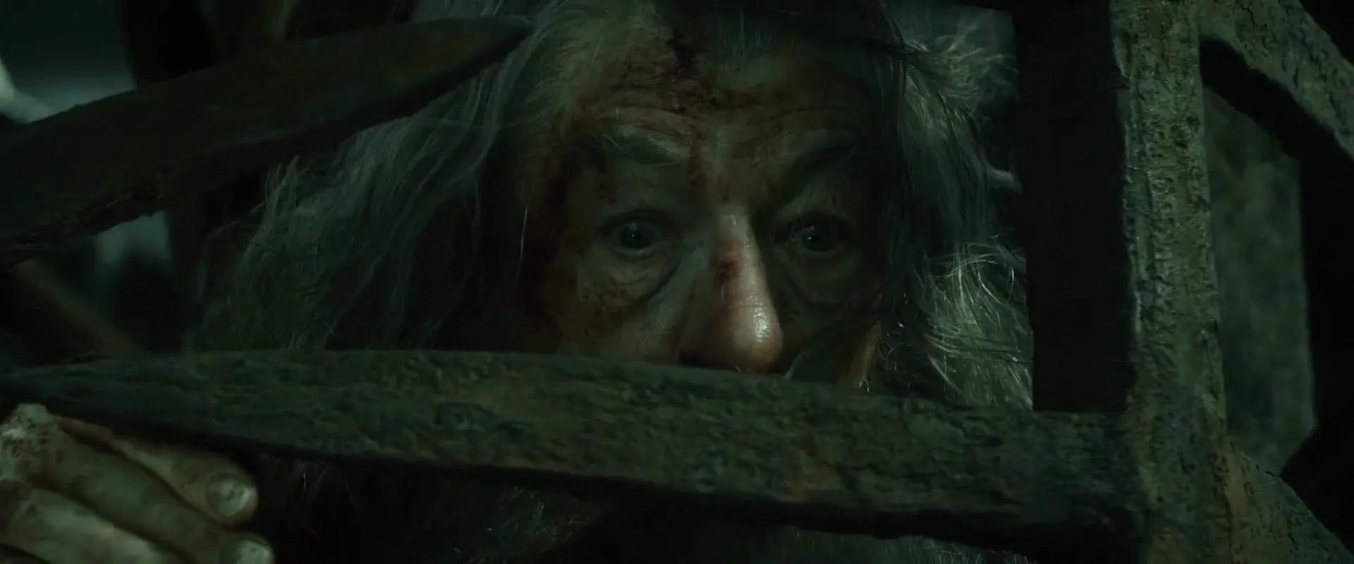 Ian McKellen in The Hobbit: The Desolation of Smaug (2013)