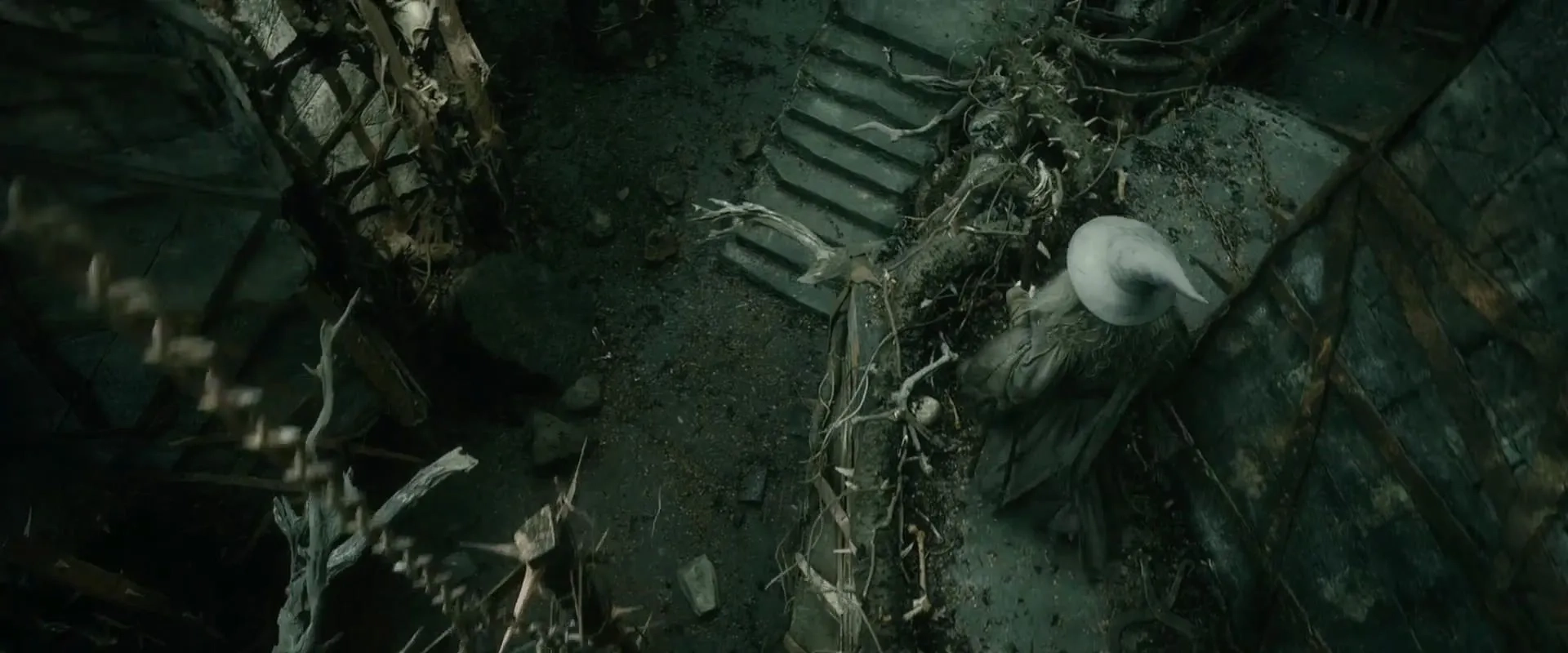 Ian McKellen in The Hobbit: The Desolation of Smaug (2013)