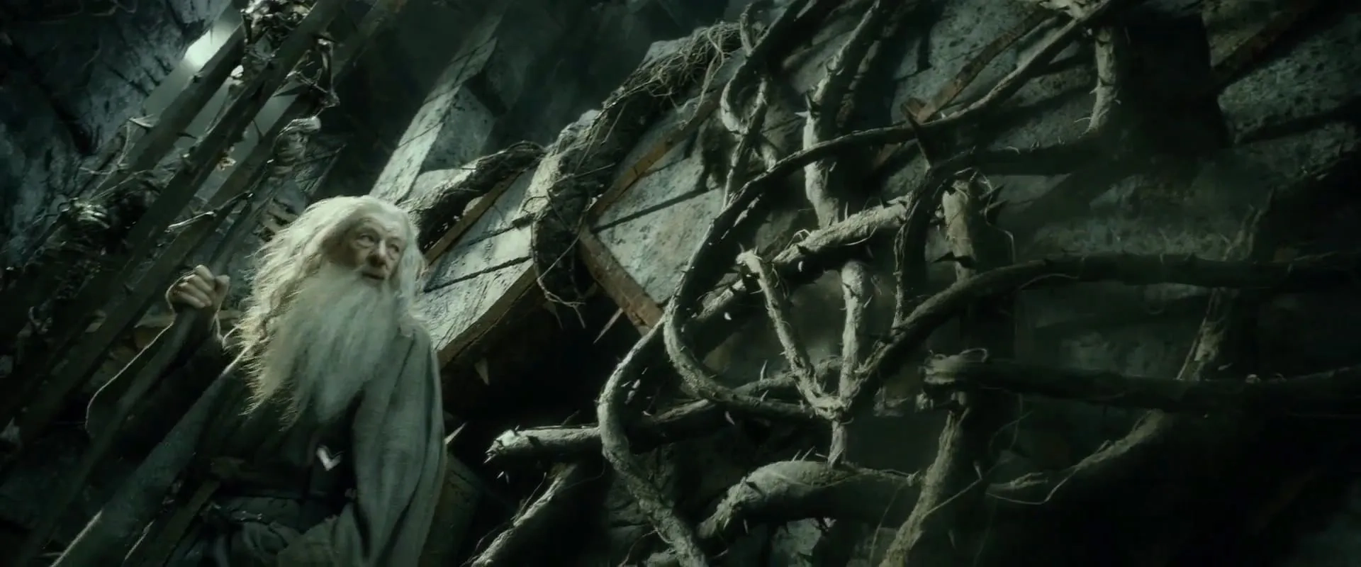 Ian McKellen in The Hobbit: The Desolation of Smaug (2013)