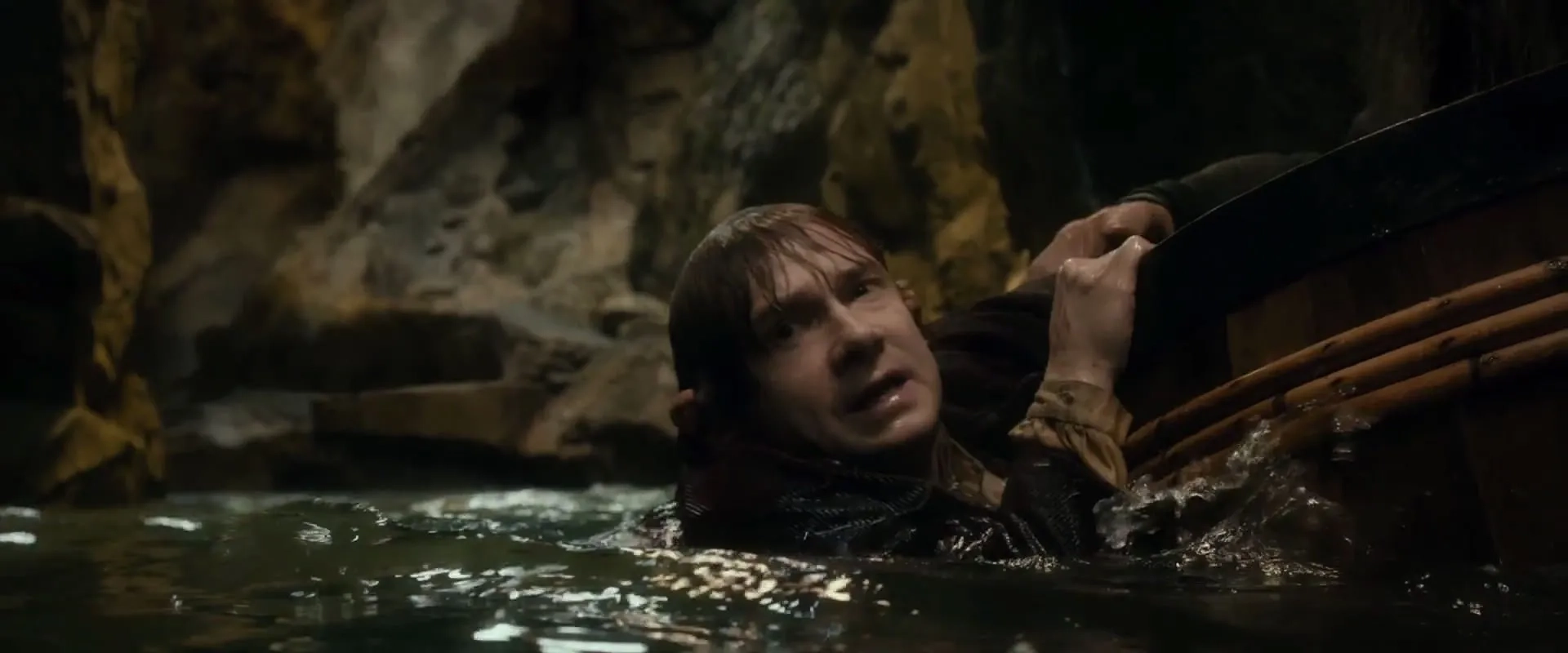 Martin Freeman in The Hobbit: The Desolation of Smaug (2013)