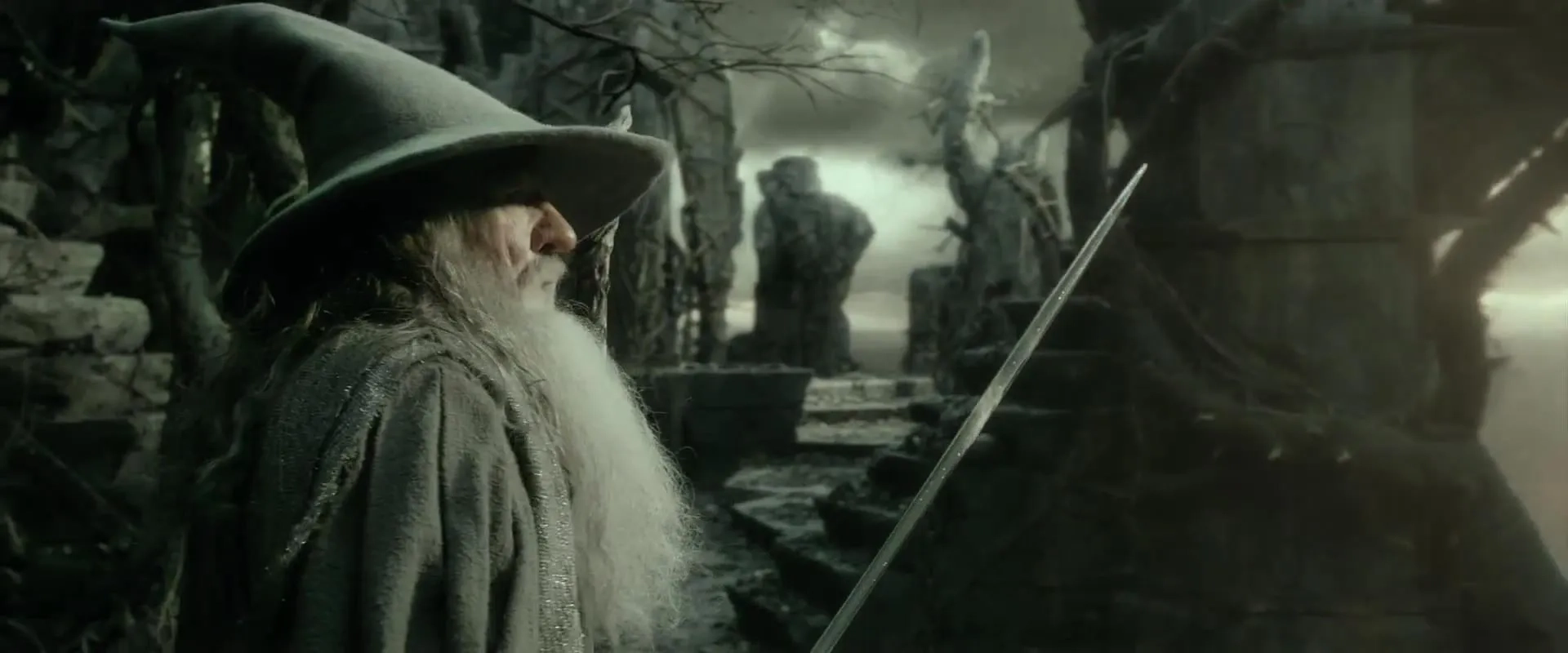 Ian McKellen in The Hobbit: The Desolation of Smaug (2013)
