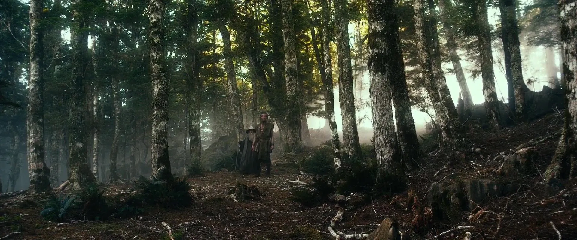 Ian McKellen and Mikael Persbrandt in The Hobbit: The Desolation of Smaug (2013)