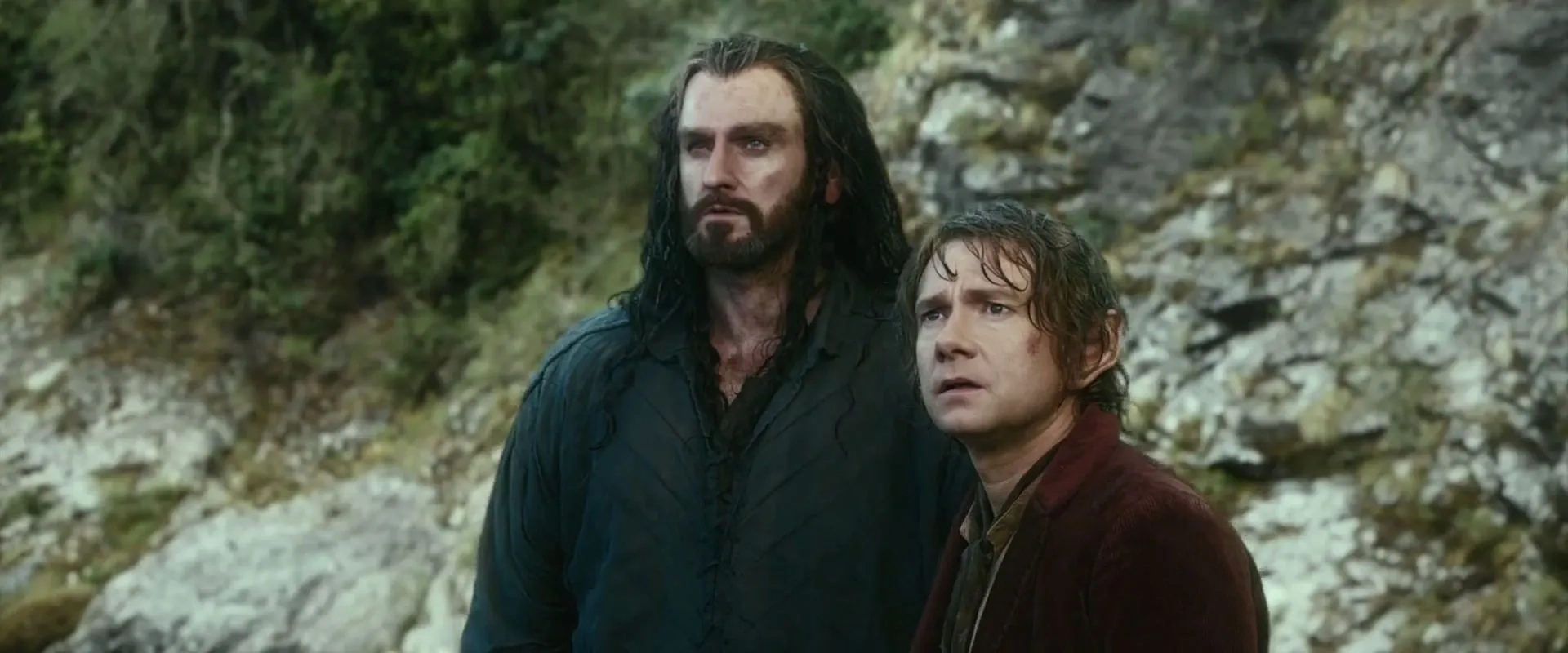 Richard Armitage and Martin Freeman in The Hobbit: The Desolation of Smaug (2013)