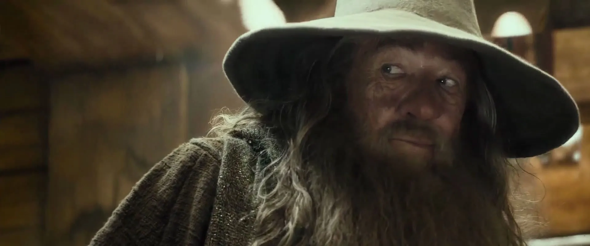Ian McKellen in The Hobbit: The Desolation of Smaug (2013)