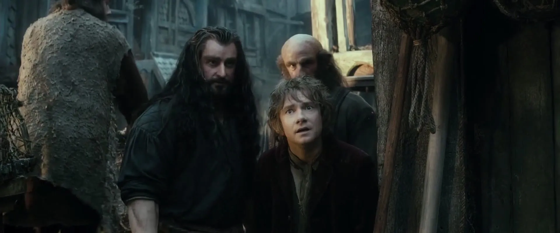 Richard Armitage, Martin Freeman, and Graham McTavish in The Hobbit: The Desolation of Smaug (2013)