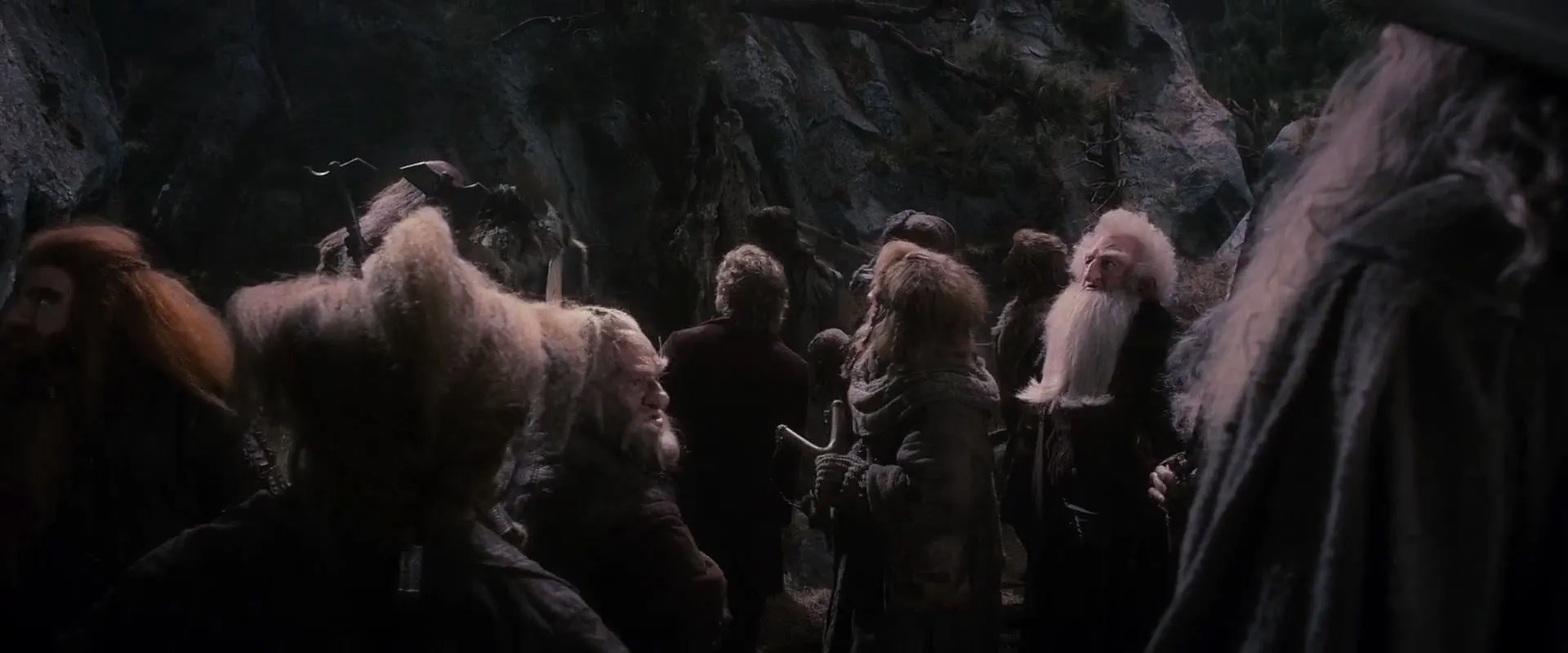 Ian McKellen, Jed Brophy, Martin Freeman, Mark Hadlow, Peter Hambleton, Graham McTavish, James Nesbitt, Dean O'Gorman, Ken Stott, Aidan Turner, and Adam Brown in The Hobbit: The Desolation of Smaug (2013)