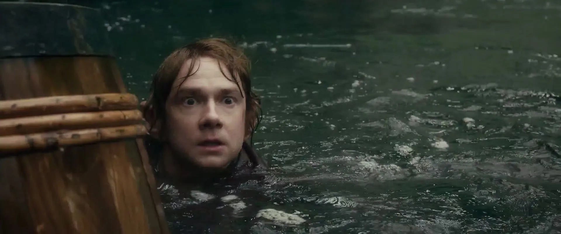 Martin Freeman in The Hobbit: The Desolation of Smaug (2013)