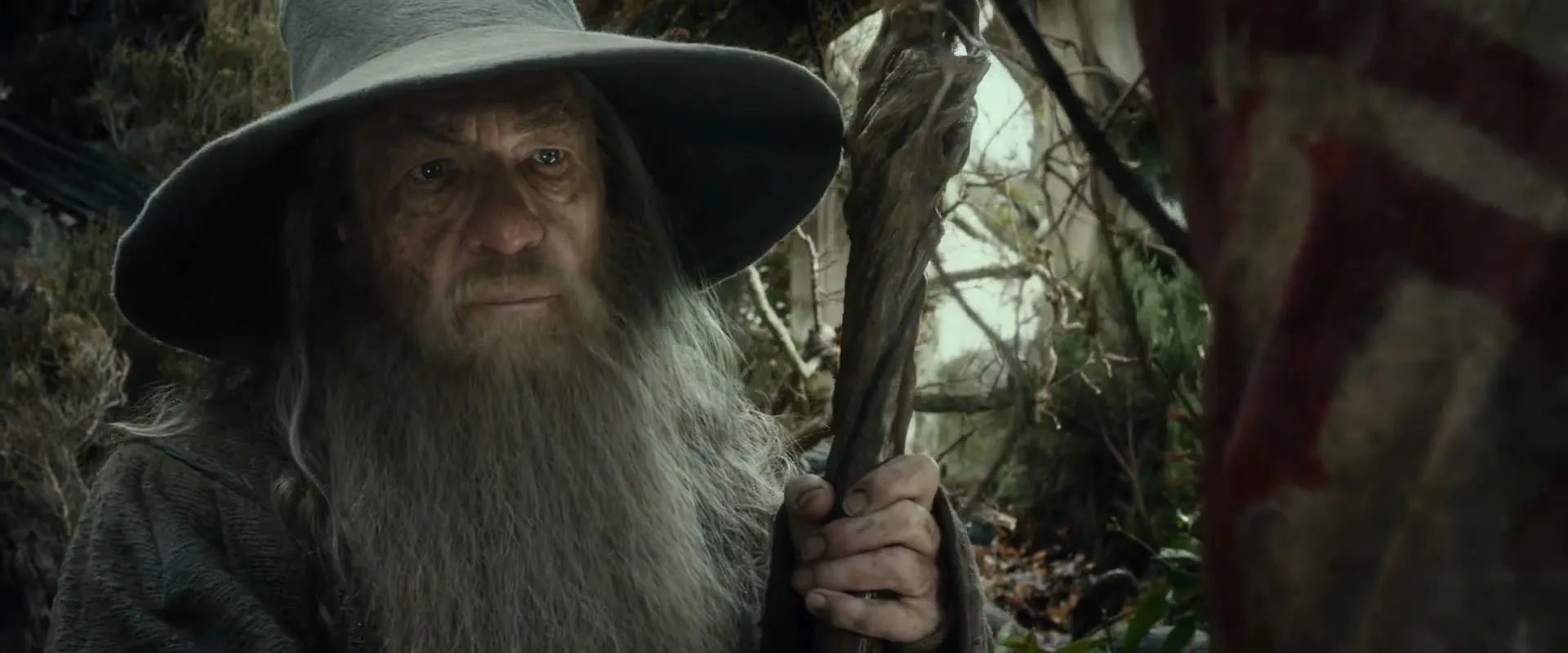 Ian McKellen in The Hobbit: The Desolation of Smaug (2013)